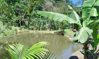 Imagem: Chácara à venda em Campina Grande do Sul