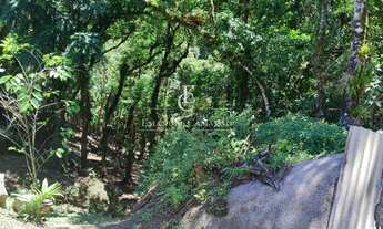 Imagem 4: Chácara à venda em Campina Grande do Sul, Zona Rural, com 3 quartos, 30000m²