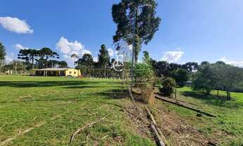 Imagem: Chácara à venda em Piraquara, Borda do