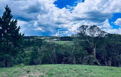 Imagem 7: Área à venda em Piraquara, Colônia Santa Maria, 27.022,07m²