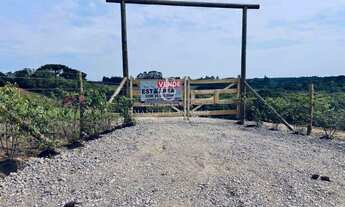 Imagem 4: Área à venda em Piraquara, Colonia Santa Maria, 26000m²