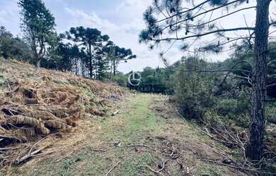 Imagem 13: Área à venda em Piraquara, Colonia Santa Maria, 26000m²