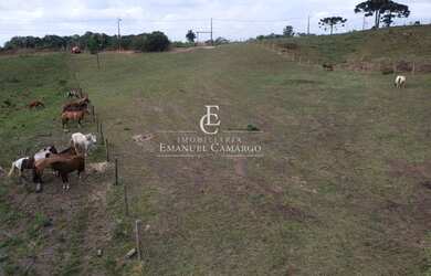 Imagem 15: Área à venda em Piraquara, Colonia Santa Maria, 26000m²