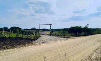 Imagem 3: Área à venda em Piraquara, Colonia Santa Maria, 26000m²