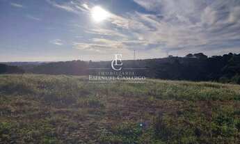 Imagem: Área à venda em São José dos Pinhais