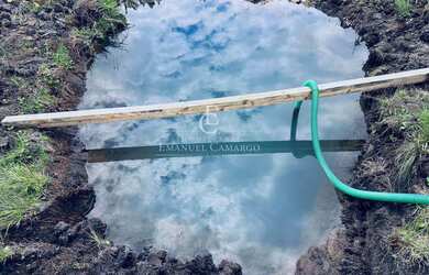 Imagem 7: Área à venda em Piraquara, Colonia Santa Maria, 20000m²