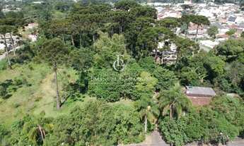 Imagem 4: Área à venda em Piraquara, Planta Araçatuba, 6835,64m²