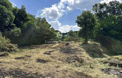 Imagem 6: Área à venda em Piraquara, Planta Meireles, 3059m²