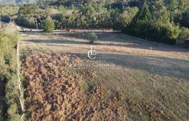 Imagem 7: Área à venda em Piraquara, Recreio da Serra, 10000m²