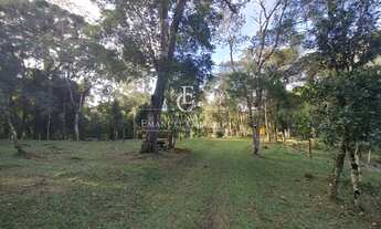 Imagem 5: Chácara à venda em Piraquara, Roça Nova, 20000m²