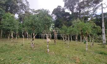 Imagem 6: Chácara à venda em Piraquara, Roça Nova, 20000m²