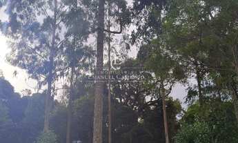 Imagem 7: Chácara à venda em Piraquara, Roça Nova, 20000m²