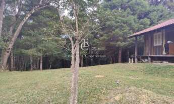 Imagem 2: Chácara à venda em Piraquara, Roça Nova, 20000m²