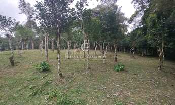 Imagem 3: Chácara à venda em Piraquara, Roça Nova, 20000m²