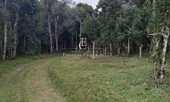 Imagem 4: Chácara à venda em Piraquara, Roça Nova, 20000m²