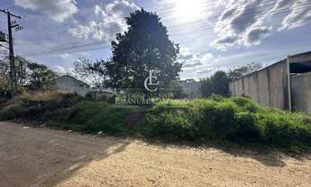 Imagem 4: Área à venda em Piraquara, Águas Claras, 1350m²