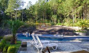 Imagem 3: Casa à venda em Piraquara, Borda do Campo, com 5 quartos, 1353m²