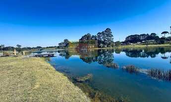 Imagem 6: Chácara à venda em Piraquara, Planta Granjas Eldorado, com 4 quartos, 1.900m²