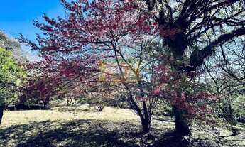 Imagem 6: Chácara à venda em Piraquara, Planta Meireles, com 3 quartos, 22.450m²