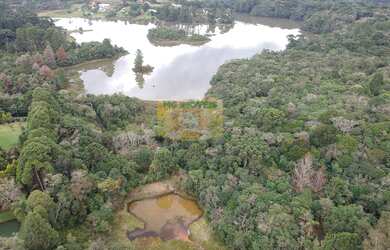 Imagem 4: Chácara à venda em Piraquara, Recreio da Serra, 15.000m²