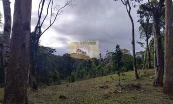 Imagem 3: Chácara à venda em Piraquara, Roça Nova, 20.000m²
