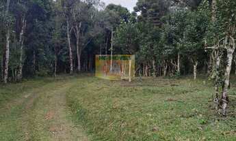 Imagem 4: Chácara à venda em Piraquara, Roça Nova, 20.000m²