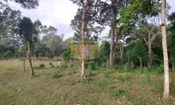 Imagem 5: Chácara à venda em Piraquara, Roça Nova, 20.000m²