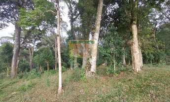 Imagem 6: Chácara à venda em Piraquara, Roça Nova, 20.000m²