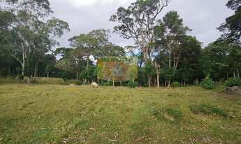 Imagem 7: Chácara à venda em Piraquara, Roça Nova, 20.000m²