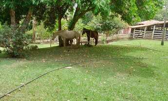 Imagem 4: Chácara à venda em Pirenópolis, Área Rural de Pirenópolis, com 3 quartos, 7Alqueires Goian