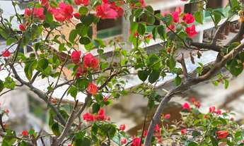 Imagem 5: Apartamento para Venda em Recife, Boa Viagem, 3 dormitórios, 1 suíte, 3 banheiros, 1 vaga