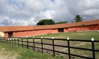 Imagem 3: Fazenda para Venda em Limoeiro, Zona Rural, 4 dormitórios, 4 suítes