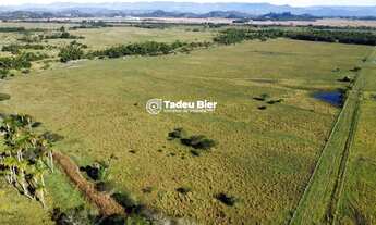 Imagem: Área, à venda em Passo de Torres