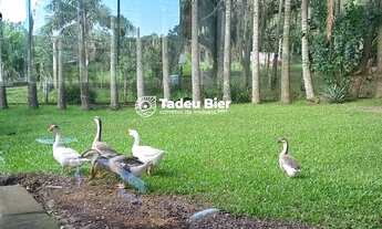 Imagem 7: Chácara à venda em Torres, Jacaré, com 2 quartos