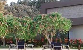 Imagem 4: Condomínio Florais Esmeralda