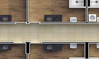 Imagem 7: Luar das Oliveiras