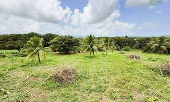 Imagem: Terreno com área de 46.200 m2 (4,62 ha)