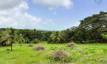 Imagem 7: Terreno com área de 46.200 m2 (4,62 ha), para Venda, em Igarassu/PE