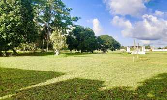 Imagem 2: Terreno com área de 46.200 m2 (4,62 ha), para Venda, em Igarassu/PE