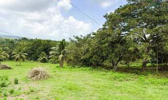 Imagem 4: Terreno com área de 46.200 m2 (4,62 ha), para Venda, em Igarassu/PE