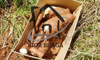 Imagem 2: Chácara para Venda em Juiz de Fora, Caeté, 2 dormitórios, 1 banheiro, 1 vaga