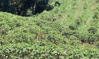 Imagem 5: Terreno no Bairro da Lagoa - Oportunidade Única!