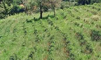 Imagem 6: Terreno no Bairro da Lagoa - Oportunidade Única!