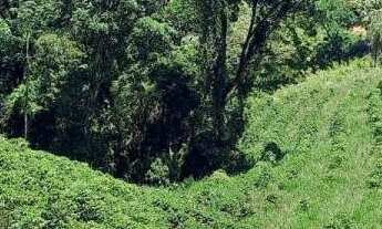 Imagem 2: Terreno no Bairro da Lagoa - Oportunidade Única!