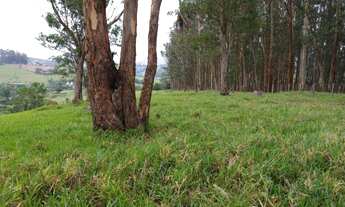 Imagem: Terreno, à venda em Socorro
