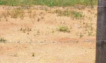 Imagem 5: Terreno em Socorro, no asfalto 1.000m2.Excelente