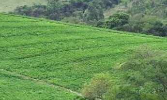 Imagem: Ampla Área à Venda no Bairro da Lagoa