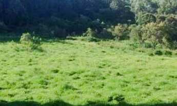 Imagem: Ampla Área Rural à Venda em Pedra Bela/SP