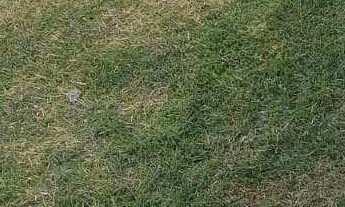 Imagem 6: ????Casa com Piscina à Venda no Jardim da Laje – Lindóia/SP