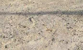 Imagem 4: ????Casa com Piscina à Venda no Jardim da Laje – Lindóia/SP